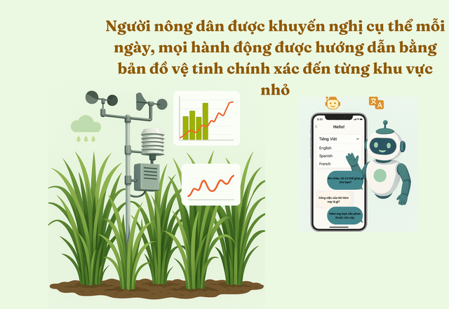 Khi loại nông sản tỷ đô của Ấn Độ bất ngờ gặp khó: Nông dân sử dụng AI để tăng năng suất, dữ liệu từ vệ tinh, cảm biến đất, máy bay không người lái vào cuộc - Ảnh 3.