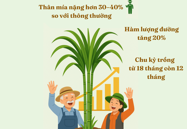 Khi loại nông sản tỷ đô của Ấn Độ bất ngờ gặp khó: Nông dân sử dụng AI để tăng năng suất, dữ liệu từ vệ tinh, cảm biến đất, máy bay không người lái vào cuộc - Ảnh 5.