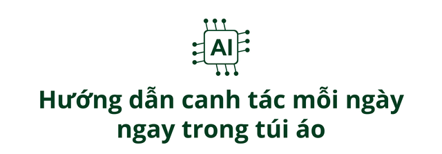 Khi loại nông sản tỷ đô của Ấn Độ bất ngờ gặp khó: Nông dân sử dụng AI để tăng năng suất, dữ liệu từ vệ tinh, cảm biến đất, máy bay không người lái vào cuộc - Ảnh 6.