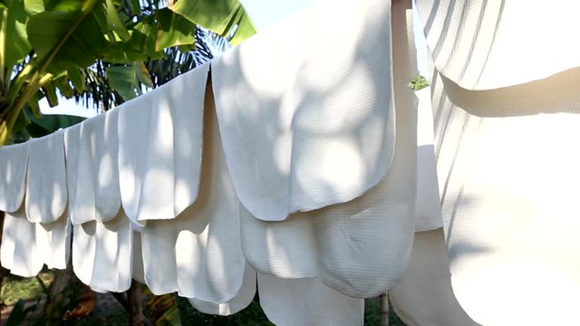 Hàng nghìn tấn 'vàng trắng' của Việt Nam được Mỹ mua với giá đắt đỏ: 1/3 thế giới ưa chuộng, nước ta nắm giữ diện tích trồng hơn 900.000 ha - Ảnh 1.