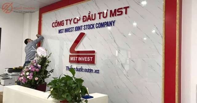 Đầu tư MST sắp trả cổ tức bằng cổ phiếu với tỷ lệ 10% - Ảnh 1.
