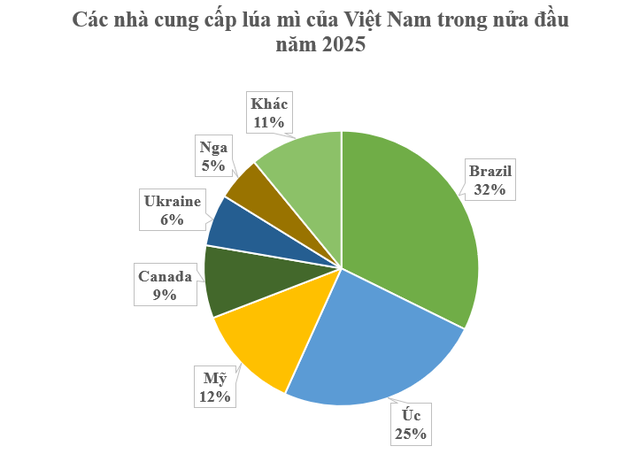 Nga, Ukraine đua nhau gửi đến Việt Nam hàng trăm nghìn tấn báu vật nông sản: Thuế nhập khẩu 0%, nước ta lọt top 10 thiêu thụ nhiều nhất thế giới - Ảnh 2.