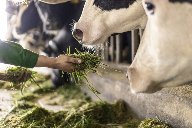 Trang trại Vinamilk Green Farm dưới lăng kính phát triển bền vững có gì đặc biệt? - Ảnh 7.