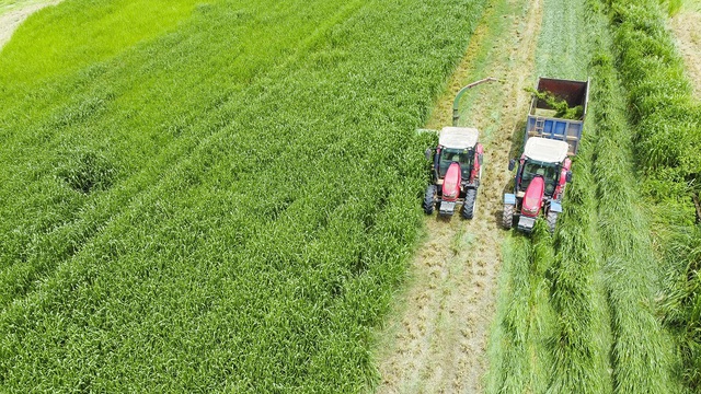 Trang trại Vinamilk Green Farm dưới lăng kính phát triển bền vững có gì đặc biệt? - Ảnh 11.