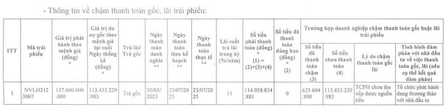 Novaland tiếp tục chậm thanh toán gốc trái phiếu - Ảnh 1.