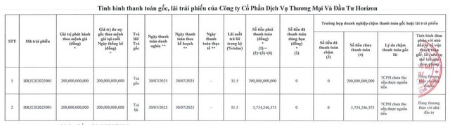Đầu tư Horizon chậm thanh toán hơn 205 tỷ đồng gốc, lãi trái phiếu - Ảnh 1.