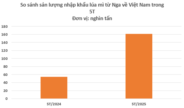 Hàng trăm nghìn tấn hàng từ Nga vừa đổ bộ vào Việt Nam: Nhập khẩu tăng trưởng 3 chữ số, ưu đãi thuế nhập khẩu 0% - Ảnh 2.