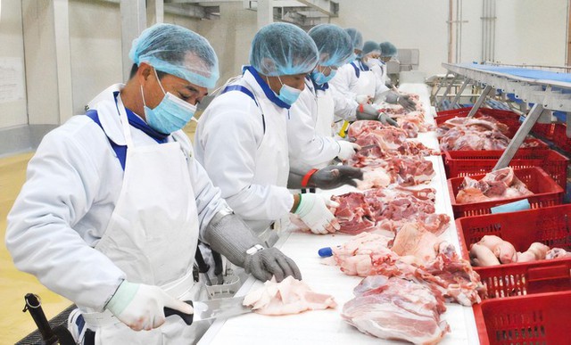 2 doanh nghiệp xin xây 'chung cư nuôi heo': Một bên top 5 thị phần heo hơi, một bên đại gia năng lượng rẽ hướng - Ảnh 2.