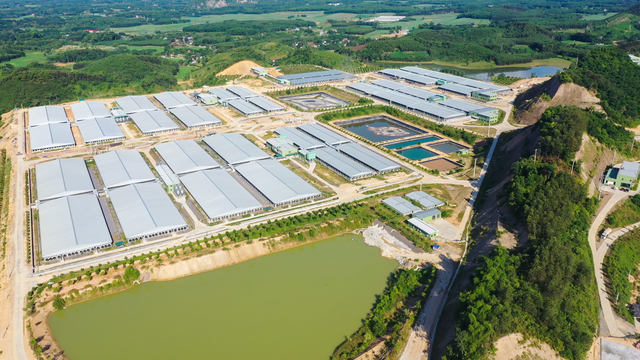 2 doanh nghiệp xin xây 'chung cư nuôi heo': Một bên top 5 thị phần heo hơi, một bên đại gia năng lượng rẽ hướng - Ảnh 3.