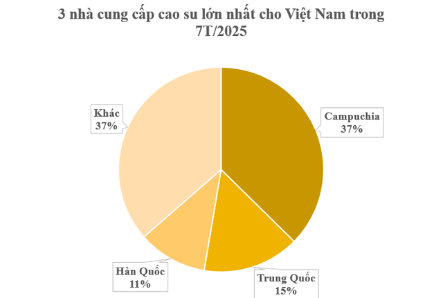 Gần 400.000 tấn hàng từ Campuchia vừa đổ bộ giúp Việt Nam trở thành ông trùm thứ 3 thế giới: Nước ta là đối thủ lớn nhất của Thái Lan, chi hơn 1,7 tỷ USD gom hàng - Ảnh 1.