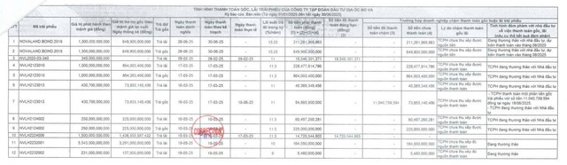 Novaland chậm thanh toán hơn 2.500 tỷ đồng gốc, lãi trái phiếu trong nửa đầu năm 2025 - Ảnh 1.