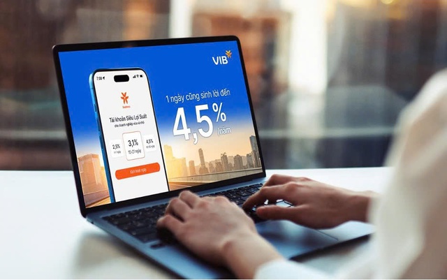 Nhiều doanh nghiệp Việt lựa chọn giải pháp sinh lời của VIB cho dòng vốn ngắn hạn - Ảnh 1.