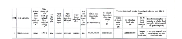 Năng lượng Hoàng Sơn 2 chậm thanh toán gần 340 tỷ đồng trái phiếu - Ảnh 1.