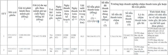 Novaland tiếp tục ‘khất nợ’ hơn 857 tỷ đồng gốc, lãi trái phiếu - Ảnh 1.