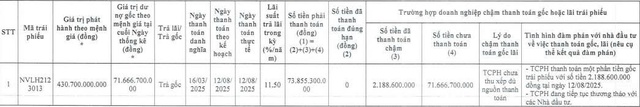 Novaland tiếp tục ‘khất nợ’ hơn 857 tỷ đồng gốc, lãi trái phiếu - Ảnh 2.