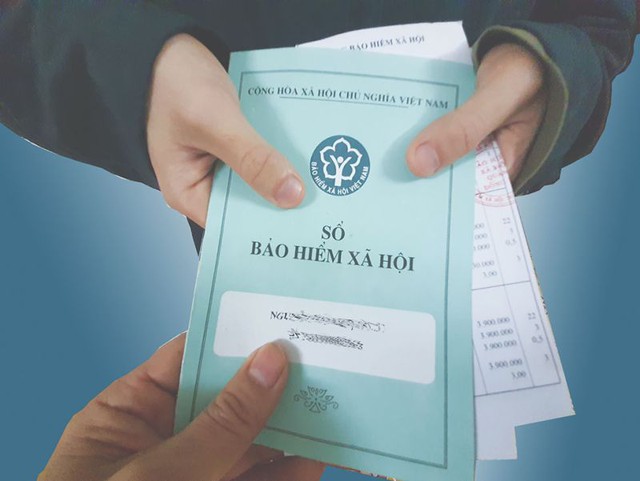 463 doanh nghiệp tại Đà Nẵng nợ bảo hiểm - Ảnh 1.