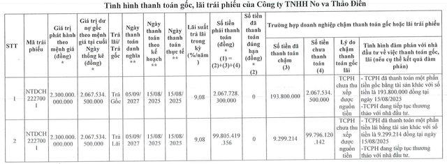 Công ty con của Novaland "khất nợ" hơn 2.100 tỷ đồng tiền gốc, lãi trái phiếu- Ảnh 1.