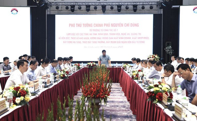 Phó Thủ tướng vừa làm việc với tỉnh Ninh Bình, Thanh Hóa, Nghệ An, Hà Tĩnh, Quảng Trị - Ảnh 1.