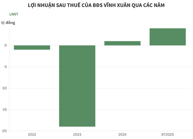 Bất động sản Vĩnh Xuân làm ăn thế nào trong nửa đầu năm 2025?- Ảnh 1.