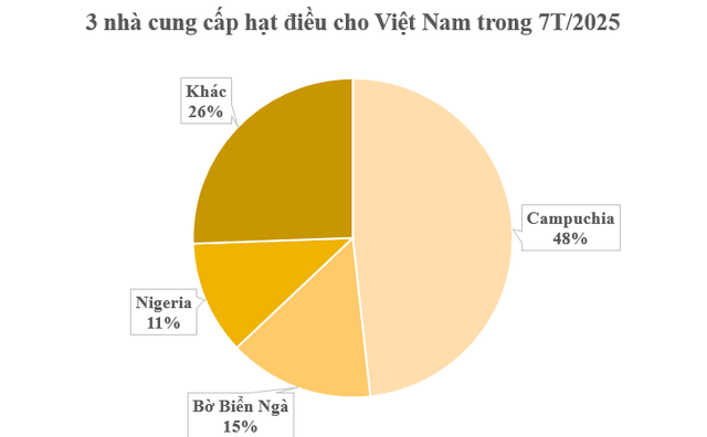 Hơn 900.000 tấn ‘báu vật quốc gia’ từ Campuchia vừa đổ bộ Việt Nam: Thuế nhập khẩu 0%, là trợ lực giúp nước ta xuất khẩu bỏ xa thế giới - Ảnh 2.
