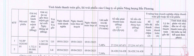 Năng lượng Bắc Phương trả lãi cho lô trái phiếu có giá trị phát hành hơn 1.700 tỷ đồng - Ảnh 1.
