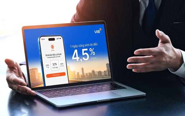 Siêu Lợi Suất VIB giúp doanh nghiệp biến dòng vốn nhàn rỗi thành công cụ sinh lời - Ảnh 1.