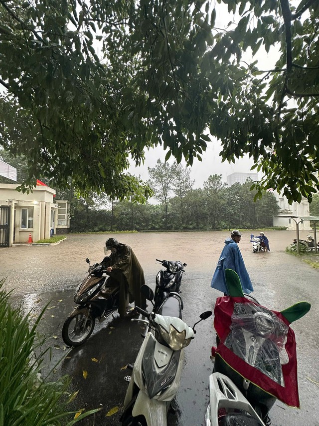 Khu nhà giàu Ciputra hễ mưa là ngập trong "biển nước" nhưng giá biệt thự vài trăm tỷ/căn - Ảnh 5.