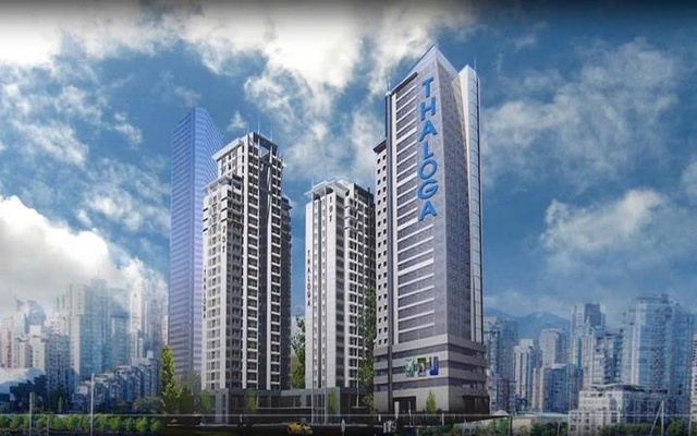 May Thăng Long bị phạt do vi phạm công bố thông tin - Ảnh 1.