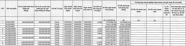 Nam Long thanh toán hơn 822 tỷ đồng gốc, lãi trái phiếu trong nửa đầu năm 2025 - Ảnh 1.