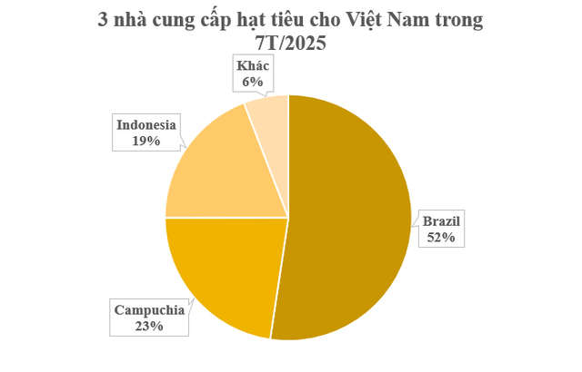 Cứu tinh từ Campuchia, Brazil đổ bộ giúp Việt Nam xuất khẩu bỏ xa thế giới: Nước ta sở hữu hơn 100.000 ha, thế giới ngày càng khan hiếm - Ảnh 2.