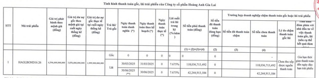 HAGL chậm thanh toán hơn 160 tỷ đồng lãi trái phiếu trong nửa đầu năm 2025 - Ảnh 1.