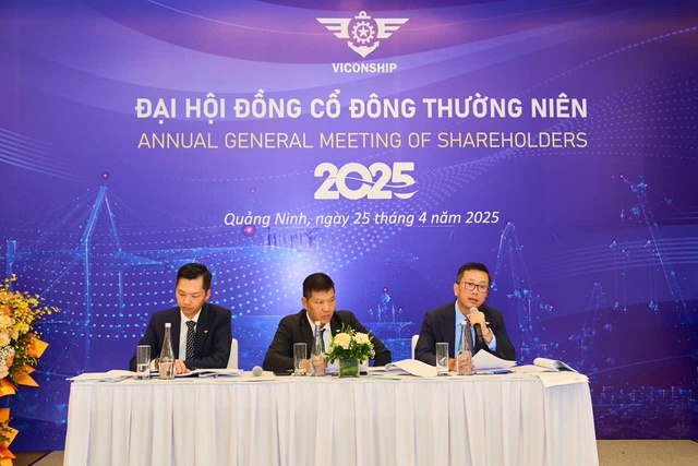 Viconship muốn tăng kế hoạch lợi nhuận năm 2025 - Ảnh 1.
