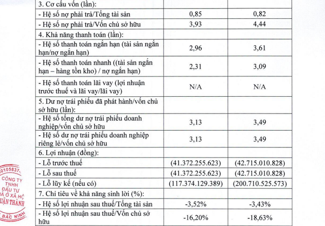 Chủ đầu tư dự án Thuận Thành Royal lỗ lũy kế hơn 200 tỷ đồng, nợ gấp hơn 4 lần vốn chủ sở hữu - Ảnh 1.