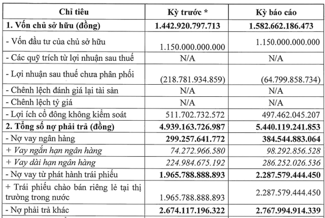 Crystal Bay của Chủ tịch Nguyễn Đức Chi báo lỗ, bị kiểm toán nêu ý kiến ngoại trừ - Ảnh 1.