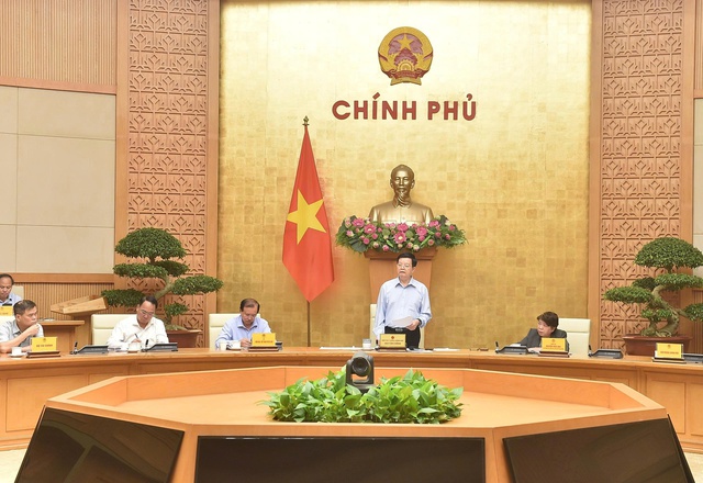 Vingroup nhận nhiệm vụ từ Phó Thủ tướng- Ảnh 1.
