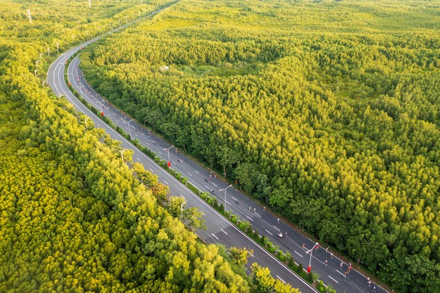 HDBank Green Marathon 2025 - Điểm hẹn của những bước chân xanh và nhịp sống số - Ảnh 2.