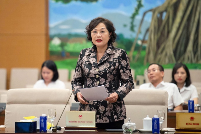 Báo cáo Chính phủ việc chi trả bảo hiểm tiền gửi trong trường hợp đặc biệt - Ảnh 1.