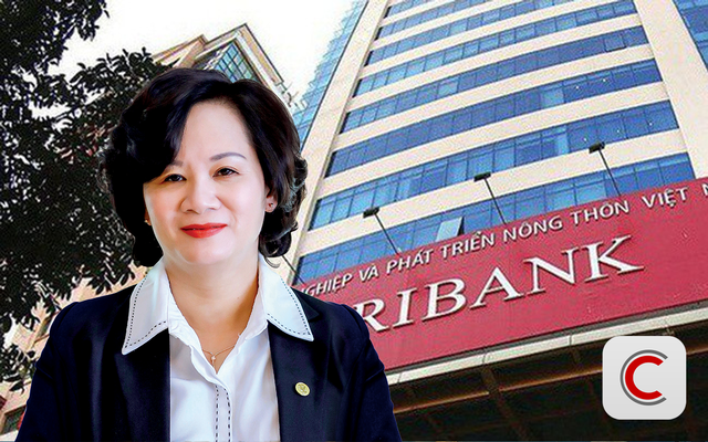 Bà Nguyễn Tuyết Dương rời Hội đồng thành viên Agribank - Ảnh 1.