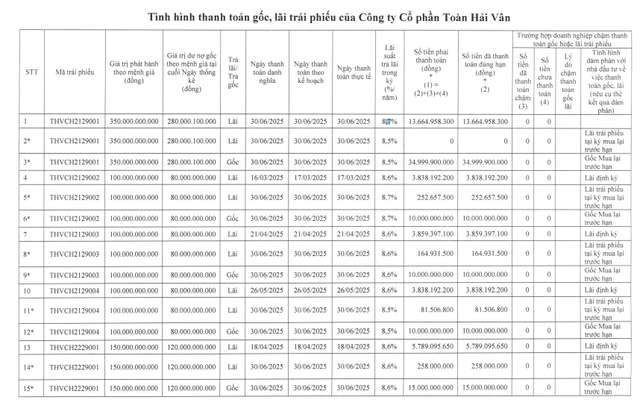 Dư nợ trái phiếu chủ dự án khu phức hợp Vịnh Đầm bao nhiêu? - Ảnh 1.