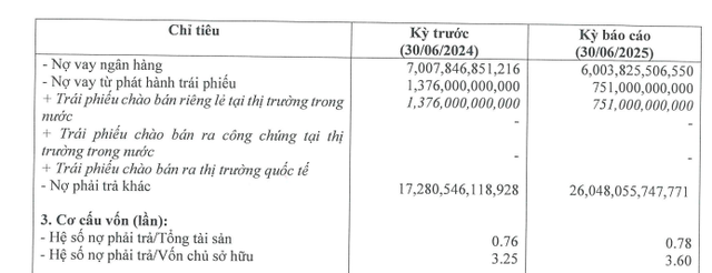 KN Cam Ranh báo lãi bán niên 2025 tăng so với cùng kỳ - Ảnh 1.