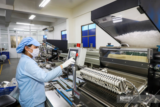 Hơn 20.000 doanh nghiệp thành lập mới trong tháng 8/2025 - Ảnh 1.