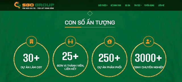 Công ty thành viên SGO Group bị ‘điểm tên’ nợ thuế, tiềm lực doanh nghiệp ra sao? - Ảnh 2.