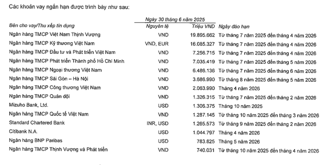 Khoản nợ 800.000 tỷ đồng bị thông tin thất thiệt của Vingroup có gì đáng chú ý?- Ảnh 1. Khoản nợ 800.000 tỷ đồng bị thông tin thất thiệt của Vingroup có gì đáng chú ý?- Ảnh 1.