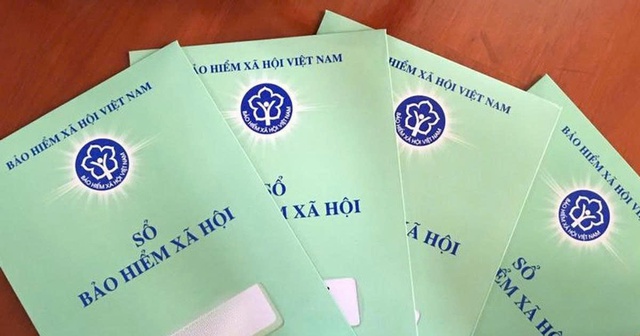 TP.HCM công khai 200 đơn vị chậm đóng bảo hiểm từ 6 tháng với số tiền lớn - Ảnh 1.