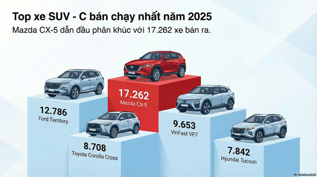 Làm 'vua' ở đâu chứ bước sang phân khúc này, xe điện Vinfast của tỷ phú Phạm Nhật Vượng vẫn đứng sau 2 cái tên đình đám - Ảnh 1.
