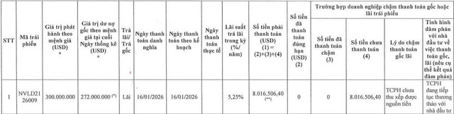 Novaland chậm thanh toán lãi cho lô trái phiếu chuyển đổi 300 triệu USD - Ảnh 1.