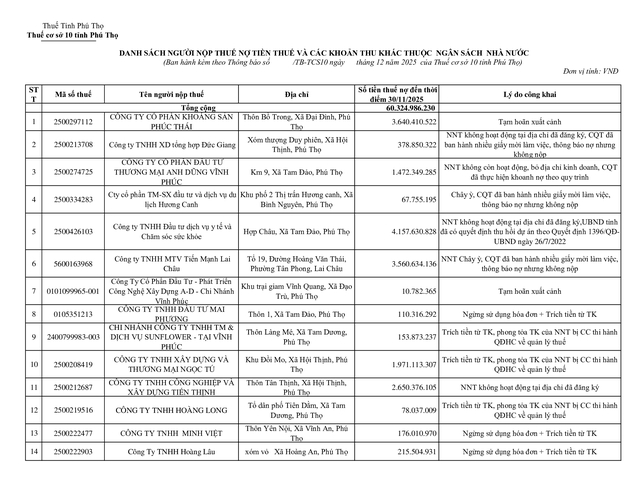 Thuế tỉnh Phú Thọ công bố danh sách 81 doanh nghiệp nợ thuế, cao nhất lên tới gần 6 tỷ đồng - Ảnh 1.