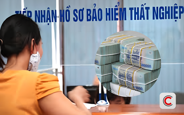 Bảo hiểm xã hội thông báo quan trọng đến người hưởng trợ cấp thất nghiệp- Ảnh 1.