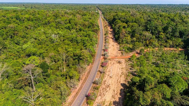 “Anh cả” siêu dự án đại lộ ven sông Hồng 855.000 tỷ đồng được chấp thuận là nhà đầu tư đề xuất tuyến đường xuyên rừng 13km, nối đến sân bay Long Thành - Ảnh 1.