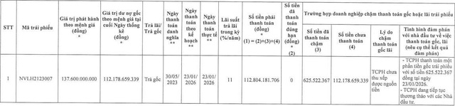 Novaland chậm thanh toán hơn 110 tỷ đồng gốc trái phiếu - Ảnh 1.